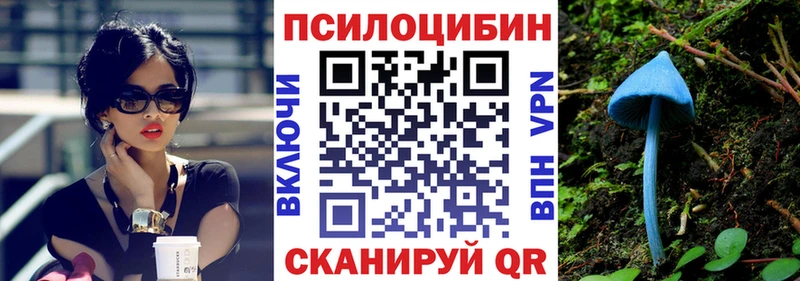 Купить где Серафимович Галлюциногенные грибы прущие грибы